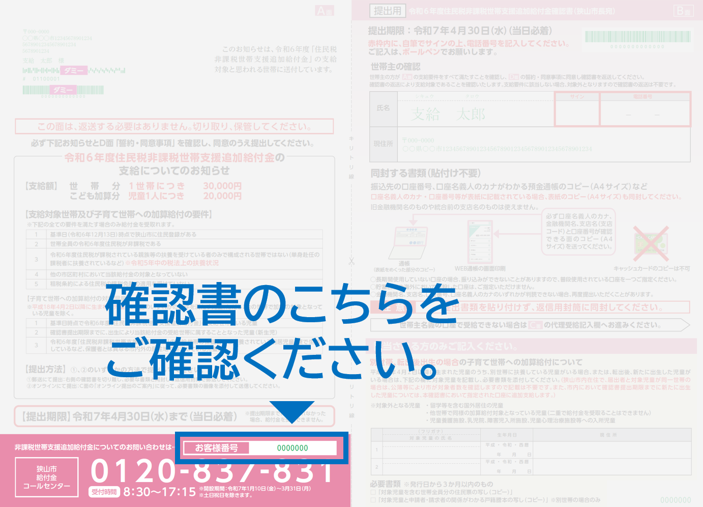 令和6年度住民税非課税世帯支援追加給付金